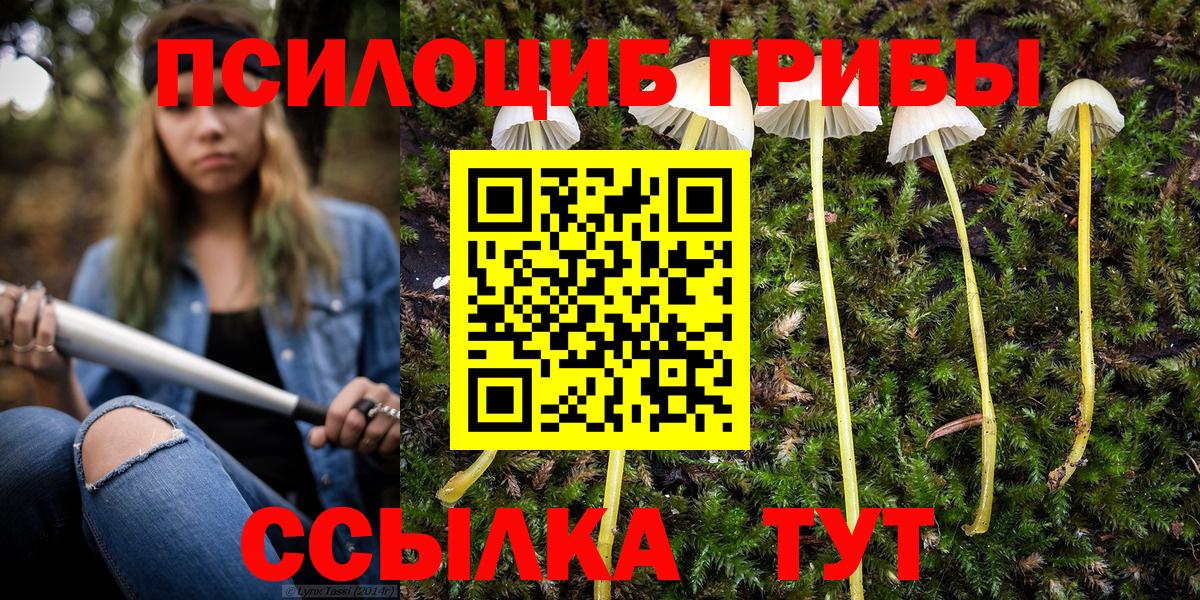 Гай  как найти закладки  Вход с VPN  Псилоцибиновые грибы MAGIC MUSHROOMS 